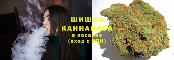 амф Балахна
