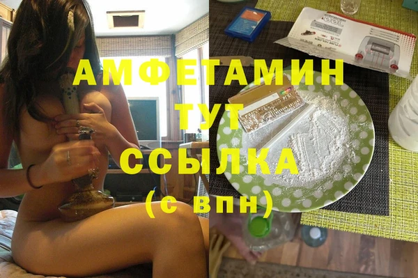 МДПВ Бородино