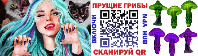 Псилоцибиновые грибы прущие грибы  Камызяк 